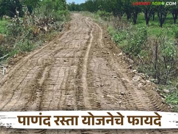 Panand road : मातोश्री ग्रामसमृद्धी पाणंद रस्ते योजनेतून शेतकऱ्यांची समृद्धी; 'हे' मिळणार विनामूल्य वाचा सविस्तर - Marathi News | Panand road: latest news Farmers' prosperity through Matoshree Gram Samriddhi Panand Road Scheme; 'This' will be available for free Read in detail | Latest News at Lokmat.com
