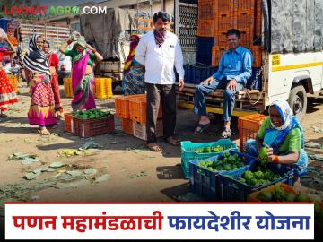 Shetmal Yojana : महाराष्ट्रातून परराज्यांत शेतमाल नेण्यासाठी 50 टक्के अनुदान, काय आहे ही योजना? - Marathi News | Latest News Shetmal Anudan Yojana 50 percent subsidy for transporting agricultural products from Maharashtra to other states | Latest News at Lokmat.com Shetmal Yojana : महाराष्ट्रातून परराज्यांत शेतमाल नेण्यासाठी 50 टक्के अनुदान, काय आहे ही योजना? - Marathi News | Latest News Shetmal Anudan Yojana 50 percent subsidy for transporting agricultural products from Maharashtra to other states | Latest News at Lokmat.com