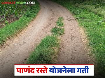 राज्यातील 'या' जिल्ह्यात २ हजार २६८ शेतरस्ते होणार मोकळे व मजबूत; जिल्हाधिकाऱ्यांचे आदेश - Marathi News | 2,268 farms will be made open and strong in this district of the state; District Collector orders | Latest News at Lokmat.com