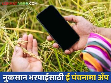 E Panchanama : नुकसानभरपाई एका आठवड्यात खात्यावर, आता नाशिकच्या शेतकऱ्यांसाठी ई-पंचनामा अँप  - Marathi News | Latest news E-Panchnama app will now be used in Nashik district to get compensation | Latest News at Lokmat.com