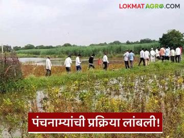 Agriculture News : अवकाळीने शेती पाण्यात, कृषी सहाय्यक आंदोलनात, पंचनामे कधी होणार? - Marathi News | Latest News crop damage by Unseasonal rains agricultural support protest nuksan panchname | Latest News at Lokmat.com Agriculture News : अवकाळीने शेती पाण्यात, कृषी सहाय्यक आंदोलनात, पंचनामे कधी होणार? - Marathi News | Latest News crop damage by Unseasonal rains agricultural support protest nuksan panchname | Latest News at Lokmat.com