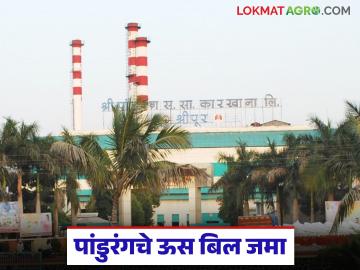 पांडुरंग कारखान्याकडून संपूर्ण ऊसबिल जमा व कामगारांना १० टक्के पगारवाढ; कसा दिला अंतिम दर? - Marathi News | Pandurang factory collects entire sugarcane bill and gives 10 percent salary hike to workers; How was the final price given? | Latest News at Lokmat.com पांडुरंग कारखान्याकडून संपूर्ण ऊसबिल जमा व कामगारांना १० टक्के पगारवाढ; कसा दिला अंतिम दर? - Marathi News | Pandurang factory collects entire sugarcane bill and gives 10 percent salary hike to workers; How was the final price given? | Latest News at Lokmat.com