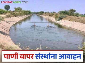 Agriculture News : रब्बी हंगामाअखेर पाणीसाठा शिल्लक, पाणी अर्ज सादर करण्याचे आवाहन  - Marathi News | Latest News agriculture News Appeal to submit water application as there is water storage in Nashik district | Latest News at Lokmat.com
