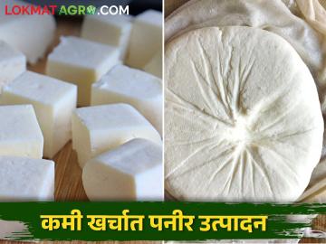 दुधाचे दर पडले; दुधावर करा ही प्रक्रिया आणि कमवा अधिकचा नफा - Marathi News | Milk prices fell; Do this process on milk and earn more profit | Latest News at Lokmat.com