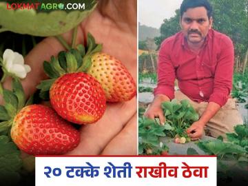 एकेकाळी भाताचे कोठार म्हणून प्रसिद्ध असलेल्या या तालुक्यातील शेती नष्ट होण्याच्या मार्गावर - Marathi News | Agriculture in this taluka, once famous as a rice granary, is on the verge of extinction | Latest News at Lokmat.com