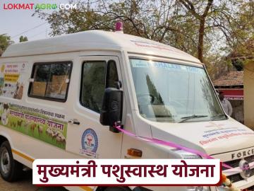 आता फिरते पशुचिकित्सा पथकावर पशुवैद्यकीय अधिकाऱ्यांऐवजी यांना मिळणार संधी - Marathi News | Latest News Now graduates opportunity to replace veterinary officers on mobile veterinary team | Latest News at Lokmat.com आता फिरते पशुचिकित्सा पथकावर पशुवैद्यकीय अधिकाऱ्यांऐवजी यांना मिळणार संधी - Marathi News | Latest News Now graduates opportunity to replace veterinary officers on mobile veterinary team | Latest News at Lokmat.com