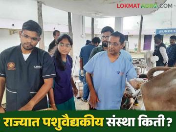 Animal Husbandry : पशुसंवर्धनाच्या पुनर्रचनेचा काय होणार परिणाम वाचा सविस्तर - Marathi News | Animal Husbandry : Read in detail what will be the impact of restructuring of animal husbandry | Latest News at Lokmat.com