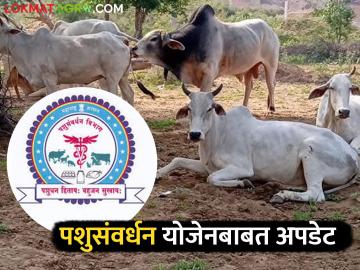 पशुसंवर्धन योजनेत कागदपत्रे अपलोड केली, पण चूक झाली, दुरुस्तीसाठी 'या' तारखेपर्यंत मुदत - Marathi News | Latest News Correction of document errors in animal husbandry scheme read In Details | Latest News at Lokmat.com पशुसंवर्धन योजनेत कागदपत्रे अपलोड केली, पण चूक झाली, दुरुस्तीसाठी 'या' तारखेपर्यंत मुदत - Marathi News | Latest News Correction of document errors in animal husbandry scheme read In Details | Latest News at Lokmat.com