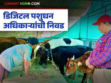 आता गावपातळीपासून ते राज्य पातळीपर्यंत डिजिटल पशुधन अभियान अधिकारी, वाचा सविस्तर - Marathi News | Latest News Now Digital Livestock Mission Officer from village level to state level, read in detail | Latest News at Lokmat.com आता गावपातळीपासून ते राज्य पातळीपर्यंत डिजिटल पशुधन अभियान अधिकारी, वाचा सविस्तर - Marathi News | Latest News Now Digital Livestock Mission Officer from village level to state level, read in detail | Latest News at Lokmat.com