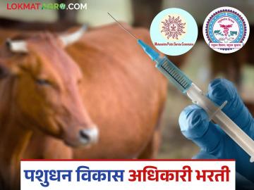 MPSC Advertisement : पशुधन विकास अधिकारी पदाच्या 2795 जागांसाठी भरती, अशी आहे अर्ज प्रक्रिया  - Marathi News | Latest News MPSC Advertisement Recruitment for 2795 posts of Livestock Development Officer see application process | Latest News at Lokmat.com