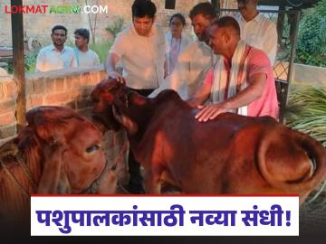 Dairy Farmers : 'एक गाव – एक फार्म’ संकल्पनेला गती; आधुनिक दुग्धउद्योगाला नवी दिशा - Marathi News | latest news Dairy Farmers: Accelerating 'One Village – One Farm' concept; New direction for modern dairy industry | Latest News at Lokmat.com