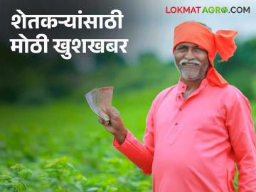 Credit Guarantee Scheme : पीएम किसान योजनेनंतर केंद्र सरकारने सुरु केली ही मोठी योजना; काय आहे योजना वाचा सविस्तर - Marathi News | After PM Kisan Yojana, the central government has launched this big scheme; What is the scheme, read in detail | Latest News at Lokmat.com