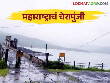 महाराष्ट्रातील या गावात चोवीस तासात २३३ मि.मी. पावसाची नोंद - Marathi News | 233 mm in twenty four hours in this village of Maharashtra Record of rain | Latest News at Lokmat.com महाराष्ट्रातील या गावात चोवीस तासात २३३ मि.मी. पावसाची नोंद - Marathi News | 233 mm in twenty four hours in this village of Maharashtra Record of rain | Latest News at Lokmat.com