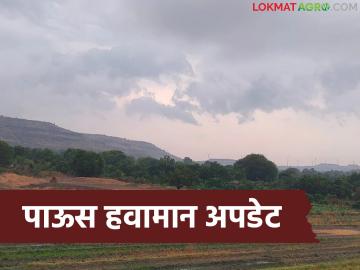 Weather Update : सद्यस्थितीत पावसाची शक्यता नाही, 'या' 14 जिल्ह्यांत किरकोळ पाऊस, वाचा हवामान अंदाज  - Marathi News | Latest News no possibility of rain at present, light rain in these 14 districts, read the weather forecast | Latest weather News at Lokmat.com