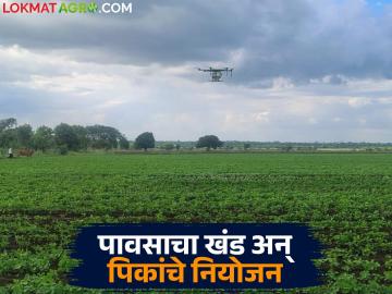 पावसाच्या खंड काळात खरीप पिके वाचविण्यासाठी करा 'हे' उपाय; जाणून घ्या सविस्तर - Marathi News | Take these measures to save Kharif crops during dry spells; Know the details | Latest News at Lokmat.com