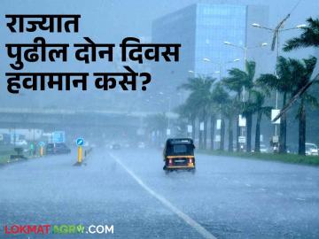 Maharashtra Monsoon Update : राज्यात आज, उद्या कुठे-कुठे पडणार पाऊस? वाचा दोन दिवसांचा हवामान अंदाज  - Marathi News | Latest news monsoon update Next two days weather forecast in Maharashtra state | Latest News at Lokmat.com