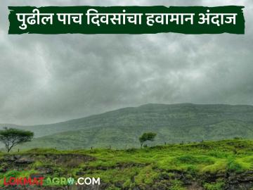 पुढील पाच दिवस पाऊस, पहा तारीख-वार नुसार जिल्हानिहाय कुठे कुठे पाऊस पडणार  - Marathi News | Latest news Rain forecast for next five days in maharashtra see district wise rain alert | Latest News at Lokmat.com