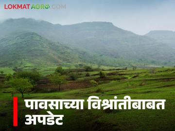 Maharashtra Rain : आजपासुन पुढील पाच दिवस 'या' जिल्ह्यांत पावसाची उघडीप, वाचा सविस्तर - Marathi News | Latest News Maharashtra Rain Rain likely in these districts for next five days from today, read in detail | Latest News at Lokmat.com Maharashtra Rain : आजपासुन पुढील पाच दिवस 'या' जिल्ह्यांत पावसाची उघडीप, वाचा सविस्तर - Marathi News | Latest News Maharashtra Rain Rain likely in these districts for next five days from today, read in detail | Latest News at Lokmat.com