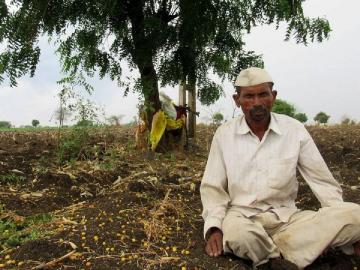 मराठवाड्यात पुढील सात दिवस पाऊस सरासरीतच! - Marathi News | Rain in Marathwada for the next seven days is average! | Latest News at Lokmat.com