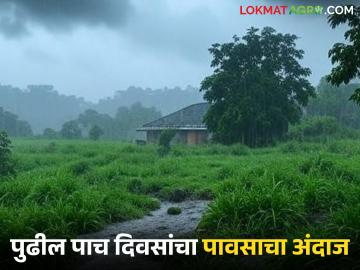 Maharashtra Rain : सप्टेंबरचे पुढील पाच दिवस 'या' जिल्ह्यात मुसळधार पाऊस, वाचा सविस्तर  - Marathi News | Latest News Maharashtra rain Heavy rains in few district for next five days of September, read in detail | Latest News at Lokmat.com