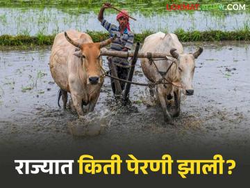 आजपर्यंत राज्यात ६२ टक्के पेरणी, मक्याची सर्वाधिक पेरणी, 'हा' जिल्हा आघाडीवर - Marathi News | Latest news 62 percent sowing in maharashtra on 1st july highest sowing of maize | Latest News at Lokmat.com आजपर्यंत राज्यात ६२ टक्के पेरणी, मक्याची सर्वाधिक पेरणी, 'हा' जिल्हा आघाडीवर - Marathi News | Latest news 62 percent sowing in maharashtra on 1st july highest sowing of maize | Latest News at Lokmat.com