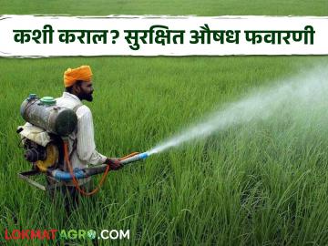 शेतकऱ्यांनो पिकांवरील अशी औषध फवारणी ठरू शकते जीवघेणी; कशी घ्याल काळजी? - Marathi News | Farmers, spraying such chemicals on crops can be life-threatening; how can you take precautions? | Latest News at Lokmat.com