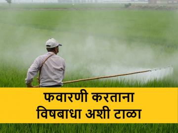 शेतकरी बांधवांनो, विषबाधा टाळायची ना?; मग काळजी घेऊनच फवारणी करा! - Marathi News | how to avoid pesticide poisoning during kharif spraying | Latest News at Lokmat.com