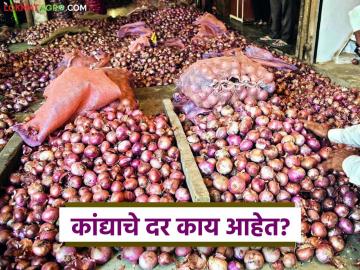 Kanda Market : लासलगाव, सोलापूर बाजारात कांदा बाजार बदलले, वाचा आज काय दर मिळाला?  - Marathi News | latest news Kanda Market Onion market changed in Lasalgaon, Solapur markets, see details | Latest News at Lokmat.com