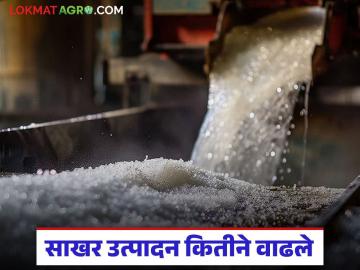 देशांतर्गत साखर उत्पादनात 22 टक्क्यांची वाढ, पहा टॉप तीन राज्य, महाराष्ट्र कितव्या नंबरवर? - Marathi News | Latest News sugar production increases by 22 percent, see top three states, where is Maharashtra ranked | Latest News at Lokmat.com देशांतर्गत साखर उत्पादनात 22 टक्क्यांची वाढ, पहा टॉप तीन राज्य, महाराष्ट्र कितव्या नंबरवर? - Marathi News | Latest News sugar production increases by 22 percent, see top three states, where is Maharashtra ranked | Latest News at Lokmat.com