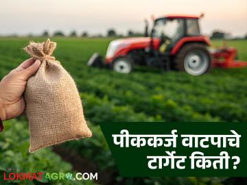 Pik Karj Target : यंदा २१०० कोटींच्या पीककर्ज वाटपाचे टार्गेट; वाचा पिकनिहाय कर्जाचे उद्दिष्ट - Marathi News | Pik Karj Target: latest news Target of crop loan allocation of Rs 2100 crore this year | Latest News at Lokmat.com