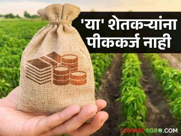 Agriculture News : शेतकरी जिल्ह्यात, शेती दुसऱ्या जिल्ह्यात, जळगाव जिल्ह्यातील 'हे' शेतकरी अडचणीत - Marathi News | Latest News Difficulty in getting crop loan for border farmers in Jalgaon district | Latest News at Lokmat.com
