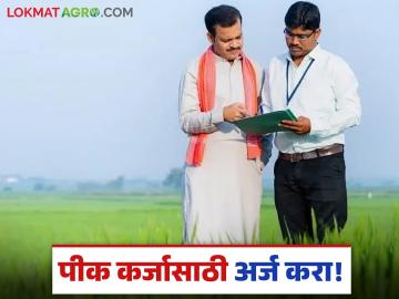बँकेच्या पायऱ्या झिजवण्याची गरज नाही, असा करा घसबसल्या पीक कर्जासाठी अर्ज, वाचा सविस्तर  - Marathi News | Latest News apply for crop loan in central government portal way, read in detail | Latest News at Lokmat.com