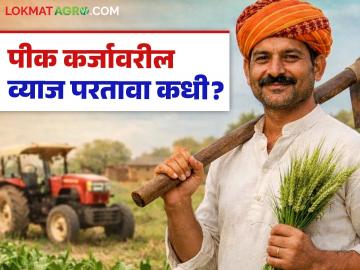 नियमित कर्ज भरणाऱ्यांना तुटपुंज्या ५० हजारांची बोळवण त्यात व्याज परतावा देखील मिळेना; शेतकऱ्यांची दुहेरी फरपट - Marathi News | Regular borrowers were given a meager Rs 50,000 and did not even get interest refund; Farmers' double whammy | Latest News at Lokmat.com