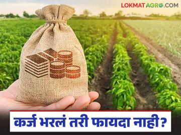 Pik Karja : नियमित कर्जफेड करूनही फायदा नाही; अनुदानाची घोषणा हवेतच? वाचा सविस्तर - Marathi News | latest news Pik Karja: There is no benefit even after regular loan repayment; Is there a need for a subsidy announcement? Read in detail | Latest News at Lokmat.com