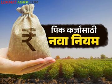 Pik Karja : पीक कर्जासाठी नाबार्डचा नवा नियम, आता मिळणार असं कर्ज; वाचा सविस्तर - Marathi News | Pik Karja : NABARD's new rules for crop loans, how to loans will be available now; Read in detail | Latest News at Lokmat.com Pik Karja : पीक कर्जासाठी नाबार्डचा नवा नियम, आता मिळणार असं कर्ज; वाचा सविस्तर - Marathi News | Pik Karja : NABARD's new rules for crop loans, how to loans will be available now; Read in detail | Latest News at Lokmat.com