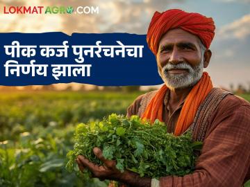 राज्यातील शेतकऱ्यांच्या कर्जाची होणार पुनर्रचना; नेमका कसा होणार फायदा? वाचा सविस्तर - Marathi News | Farmers loans in the state will be restructured; How exactly will it benefit? Read in detail | Latest News at Lokmat.com