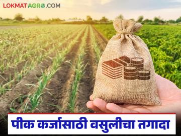 Pik Karj Vasuli : कर्जमाफीची घोषणा एकीकडे, तर बँकांची वसुली दुसरीकडे! शेतकरी हैराण - Marathi News | latest news Pik Karj Vasuli: Loan waiver announcement on one hand, recovery from banks on the other! Farmers are shocked | Latest News at Lokmat.com
