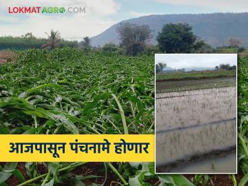 राज्यात तब्बल ३७ हजार हेक्टरवरील पिकांची झाली माती; आजपासून पंचनाम्यांना सुरुवात - Marathi News | Crops on 37 thousand hectares in the state have been destroyed; Panchnamas start from today | Latest News at Lokmat.com राज्यात तब्बल ३७ हजार हेक्टरवरील पिकांची झाली माती; आजपासून पंचनाम्यांना सुरुवात - Marathi News | Crops on 37 thousand hectares in the state have been destroyed; Panchnamas start from today | Latest News at Lokmat.com