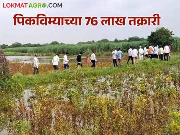 Agriculture News : शेती पिकांचे अतोनात नुकसान, विमा कंपन्यांकडे तब्बल 76 लाख तक्रारी दाखल - Marathi News | Latest News Agriculture News Heavy loss of agricultural crops, as many as 76 lakh complaints filed with insurance companies | Latest News at Lokmat.com