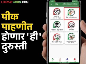 E Pik Pahani : आता ह्या क्षेत्राची पीक पाहणी वगळली जाणार; लागवडीखालील क्षेत्रात दुरुस्ती होणार - Marathi News | E Pik Pahani : Now crop inspection of this area will be remove; repairs will be made in the area under cultivation | Latest News at Lokmat.com