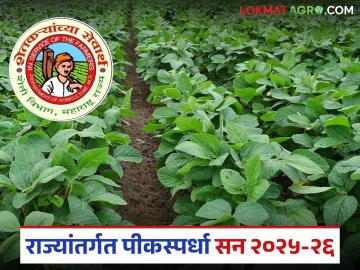 Pik Spardha 2025-26 : कृषी विभागाच्या पिक स्पर्धेत सहभागी व्हा अन् जिंका आकर्षक बक्षिसे - Marathi News | Pik Spardha 2025-26 : Participate in the Agriculture Department's Pik competition and win attractive prizes. | Latest News at Lokmat.com