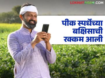 Pik Spardha : पीकस्पर्धांची बक्षिसे आली, पहा जिल्हानिहाय विजेत्यांना किती पैसे मिळणार?  - Marathi News | Latest News Pik Spardha Prizes for crop competitions see how much money winners will get by district-wise? | Latest News at Lokmat.com