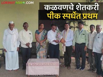 Pik Spardha : पीक स्पर्धेत कळवणचा शेतकरी राज्यात प्रथम, शेतकऱ्यास एक लाखांचे बक्षीस - Marathi News | Latest News Pik Spardha Kalwan farmer popatrao gaikwad first in maharashtra Kharip season Pik spardha | Latest News at Lokmat.com Pik Spardha : पीक स्पर्धेत कळवणचा शेतकरी राज्यात प्रथम, शेतकऱ्यास एक लाखांचे बक्षीस - Marathi News | Latest News Pik Spardha Kalwan farmer popatrao gaikwad first in maharashtra Kharip season Pik spardha | Latest News at Lokmat.com
