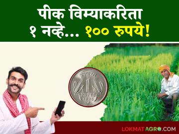 Pik Vima Yojana : पीक विमा योजनेत बनावटगिरी टाळण्यासाठी राज्य समितीने दिल्या ह्या शिफारशी; वाचा सविस्तर - Marathi News | Pik Vima Yojana : What are the recommendations given by the state committee to prevent fraud in the crop insurance scheme? Read in detail | Latest News at Lokmat.com