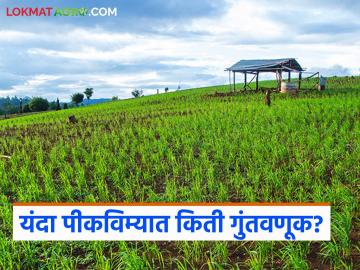 नवीन पीकविमा योजनेत सरकारची किती गुंतवणूक; फायदा सरकारला की कंपन्यांना? वाचा सविस्तर - Marathi News | How much investment is the government making in the new crop insurance scheme; does it benefit the government or the companies? Read in detail | Latest News at Lokmat.com नवीन पीकविमा योजनेत सरकारची किती गुंतवणूक; फायदा सरकारला की कंपन्यांना? वाचा सविस्तर - Marathi News | How much investment is the government making in the new crop insurance scheme; does it benefit the government or the companies? Read in detail | Latest News at Lokmat.com