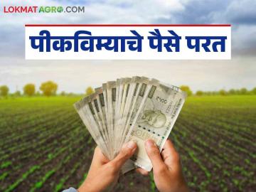 Pik Vima Yojana : अन् खात्यावर चुकून आलेली पिकविम्याची रक्कम परत केली, शेतकऱ्याचे कौतुक  - Marathi News | Latest news Pik Vima Yojana Refund of crop insurance amount mistakenly credited to bank account | Latest News at Lokmat.com