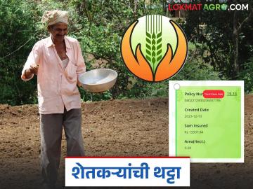 Pik Vima: शासनाच्या एक रुपयात पीक विमा योजनेचे वास्तव जाणून घ्या सविस्तर - Marathi News | Pik Vima: latest news Know the reality of the government's one rupee crop insurance scheme in detail | Latest News at Lokmat.com