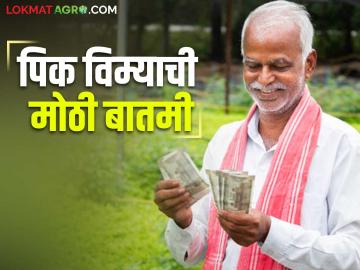 शेतकऱ्यांसाठी विधानसभेत या नव्या घोषणा; शेतकऱ्यांचा पिक विमा मिळण्याचा मार्ग मोकळा - Marathi News | New announcements for farmers in the Legislative Assembly; Path cleared for farmers to get crop insurance | Latest News at Lokmat.com
