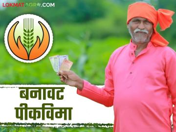 Bogus Crop Insurance : परळीच्या 'या' शेतकऱ्यांचा तीन जिल्ह्यांत बोगस विमा काय आहे प्रकरण वाचा सविस्तर - Marathi News | Bogus Crop Insurance: Read the case of some farmers of Parli who have bogus insurance in three districts in detail. | Latest News at Lokmat.com