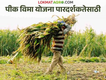 Shivraj Singh Chauhan : आता पीक विमा योजनेत घोळ होणार नाही, काय म्हणाले केंद्रीय कृषिमंत्री?  - Marathi News | Latest News Now there will be no scam in crop insurance scheme says shivraj singh chauhan | Latest News at Lokmat.com